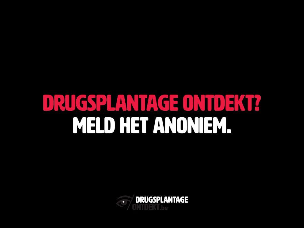 Cannabisplantage aangetroffen bij huiszoeking in Wortel